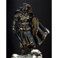 Pegaso Models - Northern Wandering Knight 75mm on foot
