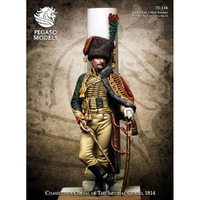 Pegaso Models - Chasseur a Cheval 75mm on foot