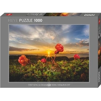 Puzzle - Heye - Von Humbold;Cloudberries 1000P