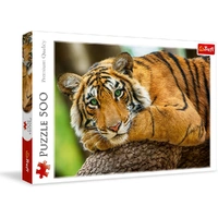 Puzzle - Trefl Park - Tiger Portrait 500Pc