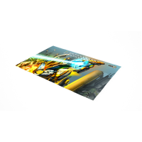 Chrono Core - Playmat - Pegasus