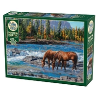 Puzzle - Cobble Hill - On The Rocks 1000Pc