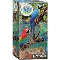 Puzzle - Eurographics - Macaws 250pc