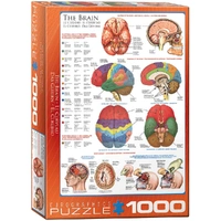 Puzzle - Eurographics - The Brain 1000pc