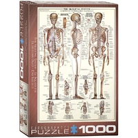 Puzzle - Eurographics - The Skeletal System 1000pcs