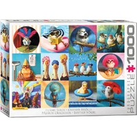 Puzzle - Eurographics - Funny Birds 1000pcs