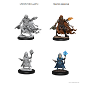Pathfinder Deep Cuts Unpainted Miniatures Evil Wizard
