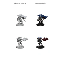 Pathfinder Deep Cuts Unpainted Miniatures Elf Female Paladin
