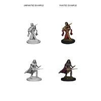 Pathfinder Deep Cuts Unpainted Miniatures Human Female Bard