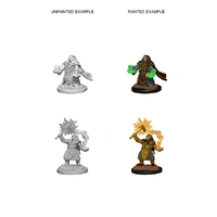 D&D Nolzurs Marvelous Unpainted Miniatures Dwarf Female Cleric