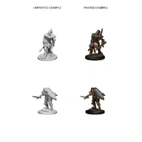 D&D Nolzurs Marvelous Unpainted Miniatures Human Male Paladin