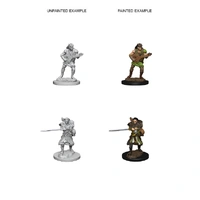 D&D Nolzurs Marvelous Unpainted Miniatures Human Male Bard