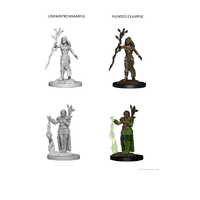 D&D Nolzurs Marvelous Unpainted Miniatures Human Female Druid
