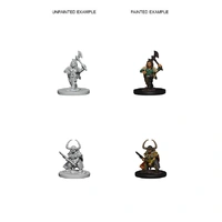 D&D Nolzurs Marvelous Unpainted Miniatures Dwarf Female Barbarian