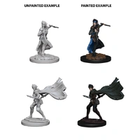 Pathfinder Deep Cuts Unpainted Miniatures Elf Female Rogue
