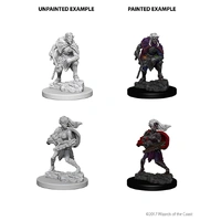 D&D Nolzurs Marvelous Unpainted Miniatures Drow