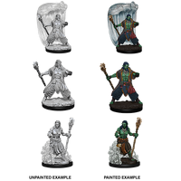 D&D Nolzurs Marvelous Unpainted Miniatures Water Genasi Male Druid