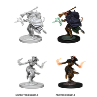 D&D Nolzurs Marvelous Unpainted Miniatures Female Tiefling Warlock