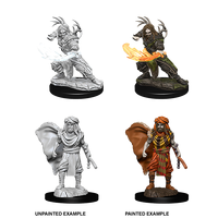 D&D Nolzurs Marvelous Unpainted Miniatures Male Human Druid