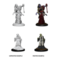 D&D Nolzurs Marvelous Unpainted Miniatures Green Hag & Night Hag