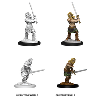 Pathfinder Battles Deep Cuts Male Human Barbarian