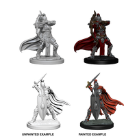 Pathfinder Battles Deep Cuts Female Knights / Gray Maidens
