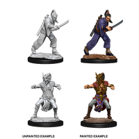 D&D Nolzurs Marvelous Unpainted Miniatures Male Human Monk