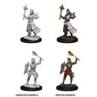 D&D Nolzurs Marvelous Unpainted Miniatures Female Human Cleric