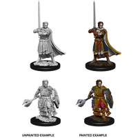 D&D Nolzurs Marvelous Unpainted Miniatures Male Human Cleric