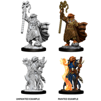 D&D Nolzurs Marvelous Unpainted Miniatures Female Dragonborn Sorcerer