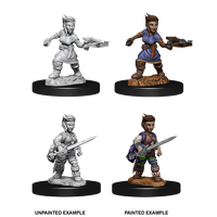 Pathfinder Deep Cuts Female Halfling Rogue