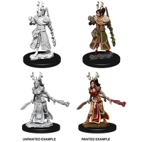 D&D Nolzurs Marvelous Unpainted Miniatures Female Human Druid