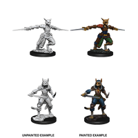 D&D Nolzurs Marvelous Unpainted Miniatures Female Tabaxi Rogue