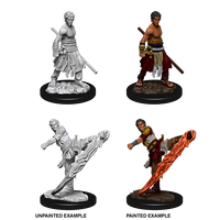 D&D Nolzurs Marvelous Unpainted Miniatures Male Half-Elf Monk