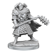 D&D Frameworks Human Male Fighter