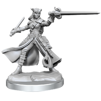 D&D Frameworks Tiefling Rogue Female