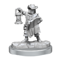 D&D Frameworks Halfling Rogue Male