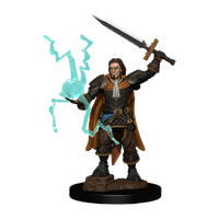 Pathfinder Battles Premium Painted Figure Human Cleric Male