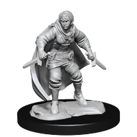D&D Nolzurs Marvelous Unpainted Miniatures Half-Elf Rogue Female