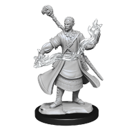D&D Nolzurs Marvelous Unpainted Miniatures Half-Elf Wizard Male