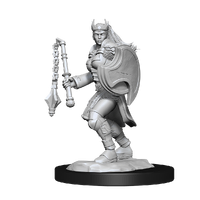 D&D Nolzurs Marvelous Unpainted Miniatures Kalashtar Cleric Female