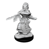 D&D Nolzurs Marvelous Unpainted Miniatures Night Hag & Dusk Hag