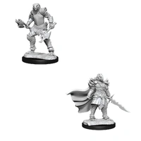 D&D Nolzurs Marvelous Unpainted Miniatures Dragonborn Fighter Female