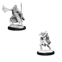 D&D Nolzurs Marvelous Unpainted Miniatures Winter Eladrin  & Spring Eladrin