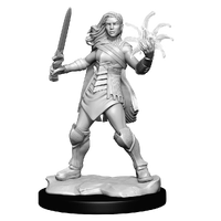 Magic the Gathering Unpainted Miniatures Rowan Kenrith & Will Kenrith