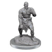 D&D Nolzurs Marvelous Unpainted Miniatures Flesh Golems