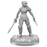 D&D Nolzurs Marvelous Miniatures Elf Rogue & Half-Elf Rogue Protege