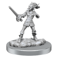 D&D Nolzurs Marvelous Miniatures Quicklings