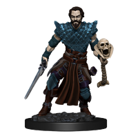 D&D Premium Painted Figures Human Warlock Male