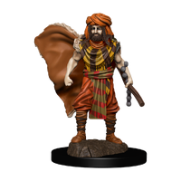 D&D Premium Painted Figures Human Druid Male